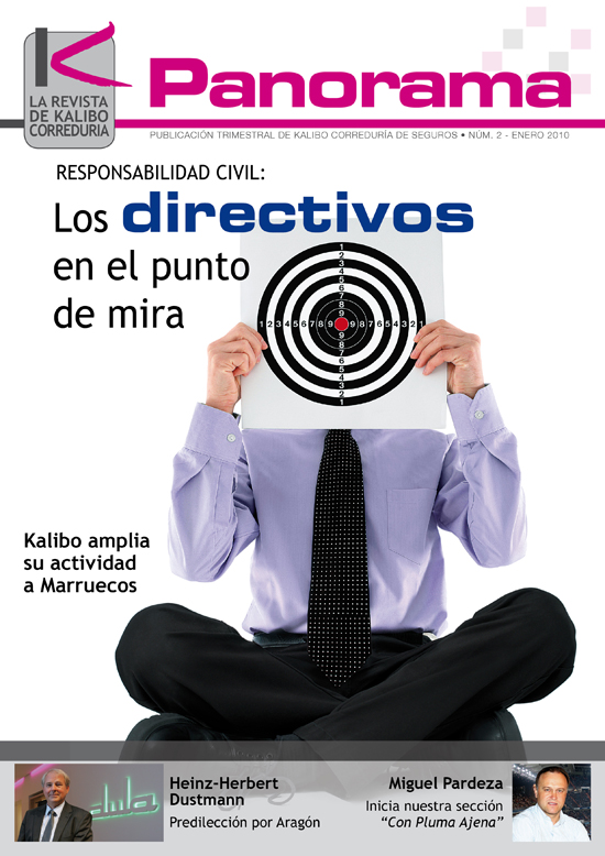 Panorama 2. Responsabilidad Civil: los directivos en el punto de mira